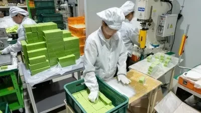 Ayurvedic Soaps Manufacturers